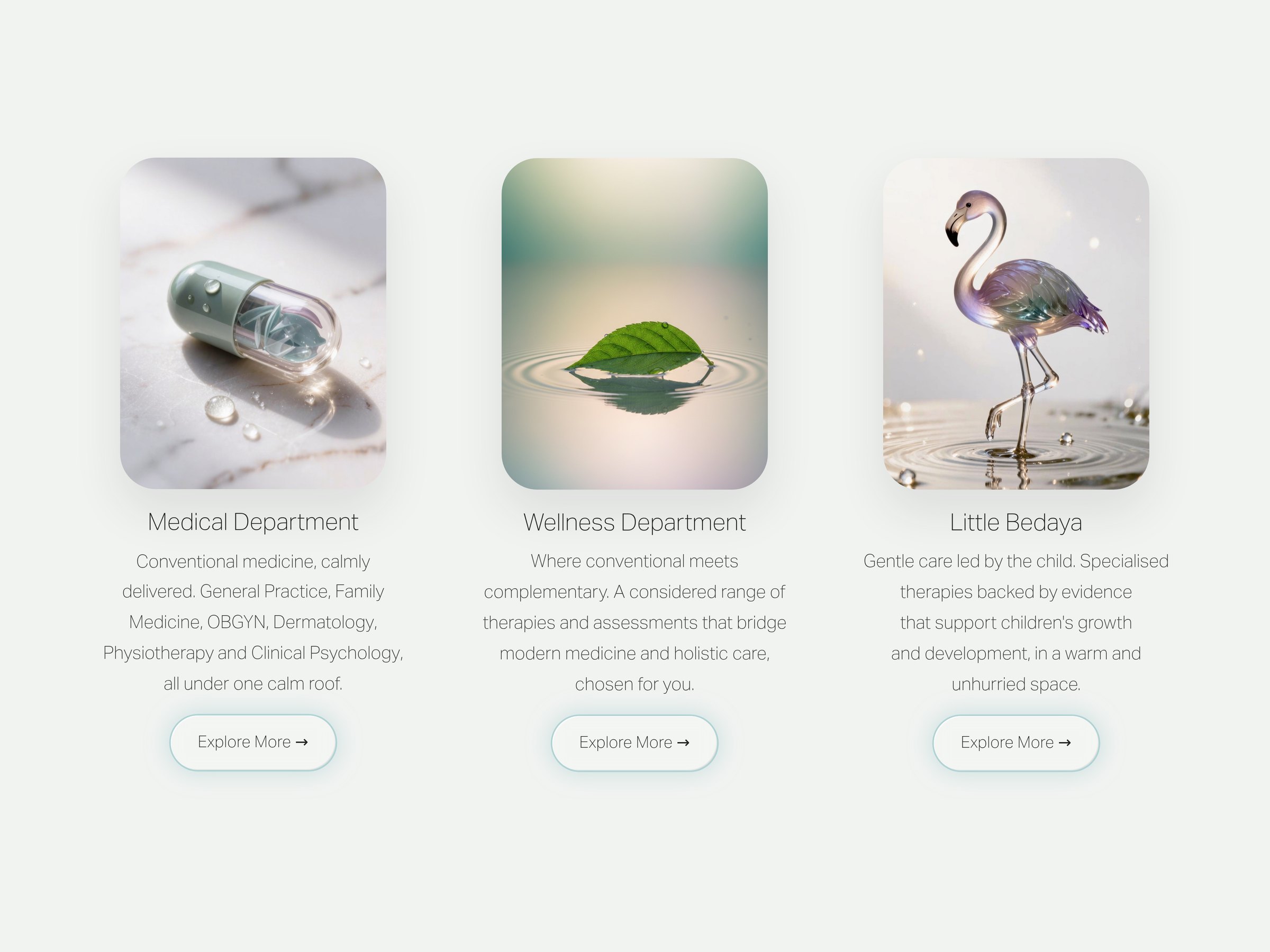 The three department cards: Medical, Wellness and Little Bedaya