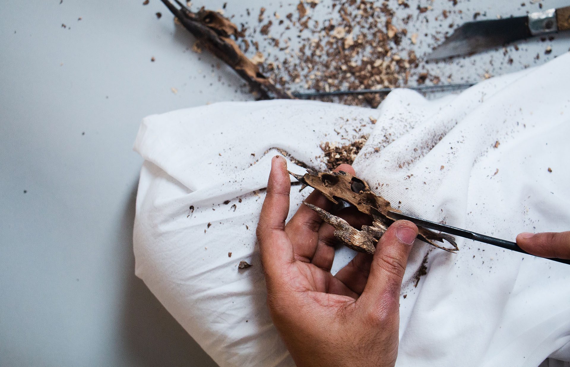 Agarwood worked with a pick on white cloth, knives on the floor