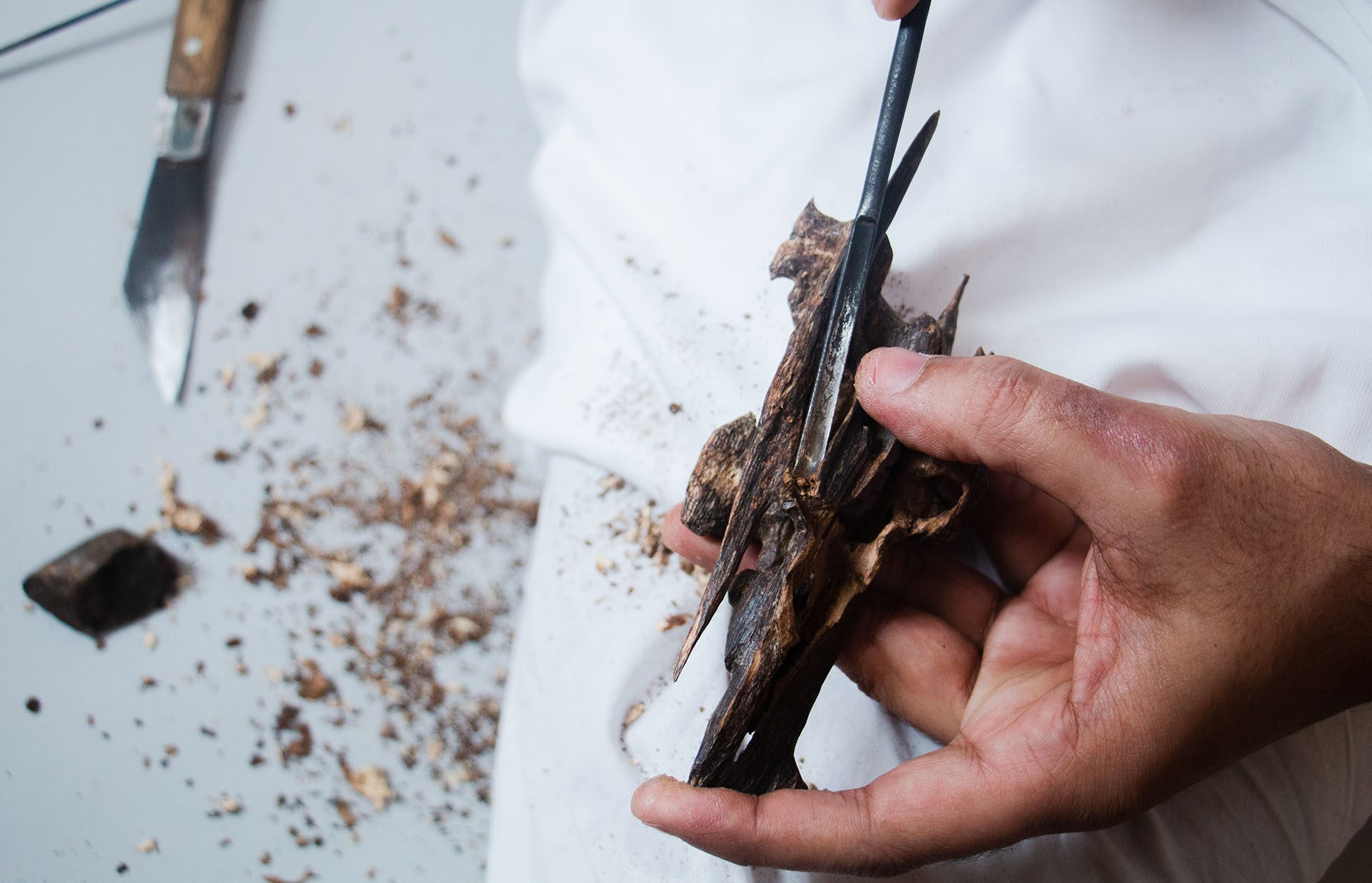 Hands turning a piece of agarwood beside a knife and scattered shavings