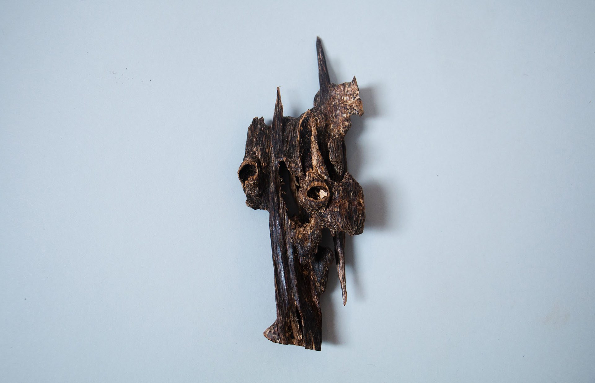 A single piece of carved agarwood on a pale blue ground