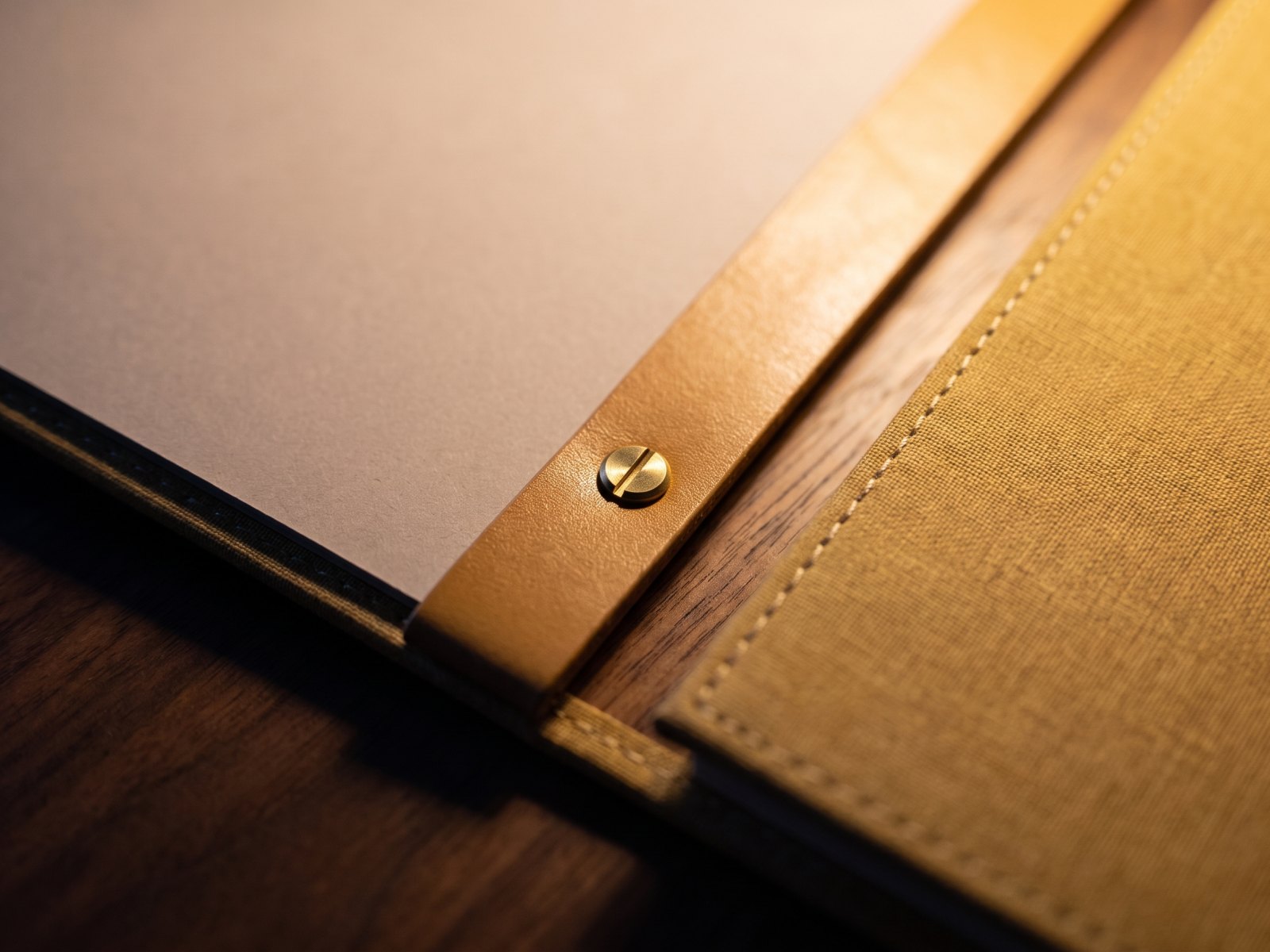 A render: a brass slotted screw on a tan leather strap between the taupe card and the gold linen